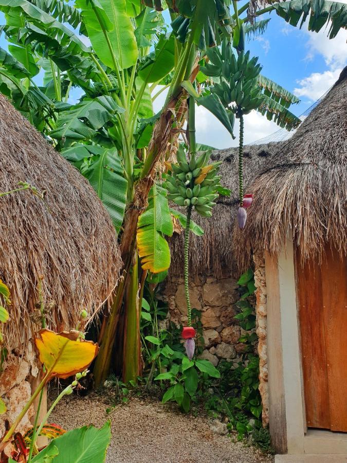 Aldea Che-Eek , Con Acceso A Un Club De Playa Privado Hotel Bacalar Eksteriør billede